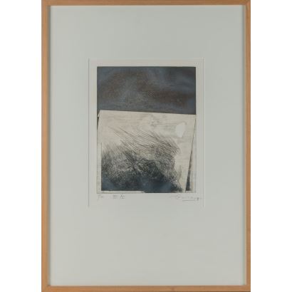 DIEGO GUIRAO FERNANDEZ (Mataró, 1956)