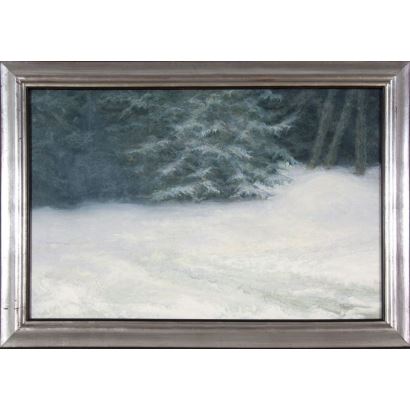 MARIANO VILLEGAS GARCÍA (Madrid, 1949)