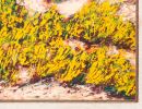 Francisco Lozano (Antella, 1912 - Valencia, 2000). Pintura del siglo XX.